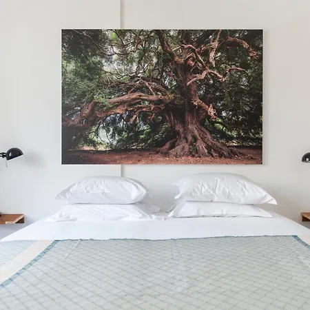 Cheese & Wine Lapa Vendégház Lisboa