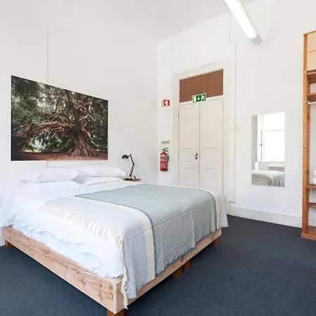 Cheese & Wine Lapa Guest house