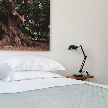 Cheese & Wine Lapa Penzion Lisboa